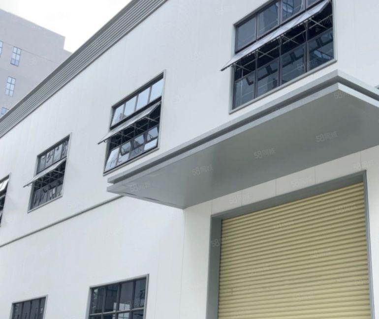 大岭山原房东全新钢构厂房高度15米牛角10米