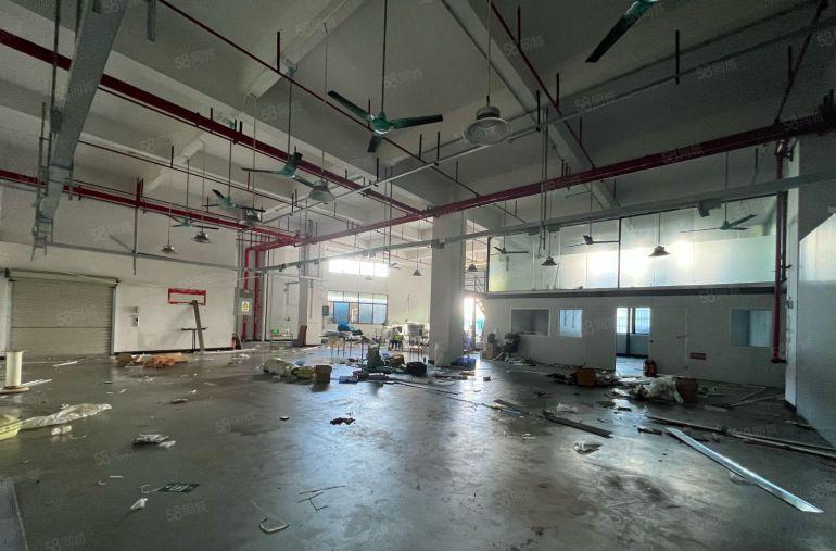 大岭山镇杨屋村标准1楼545平高度6米精装修阁楼办公室低价租