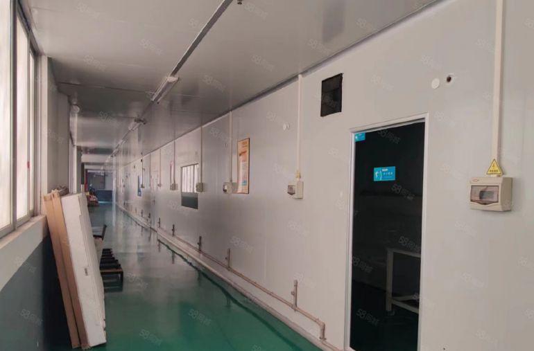 大岭山现成无尘车间厂房出租 超低价 配套齐全 精装修