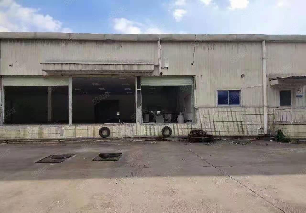 大岭山杨屋107国道边新出独院钢构7500平方招租带卸货平台