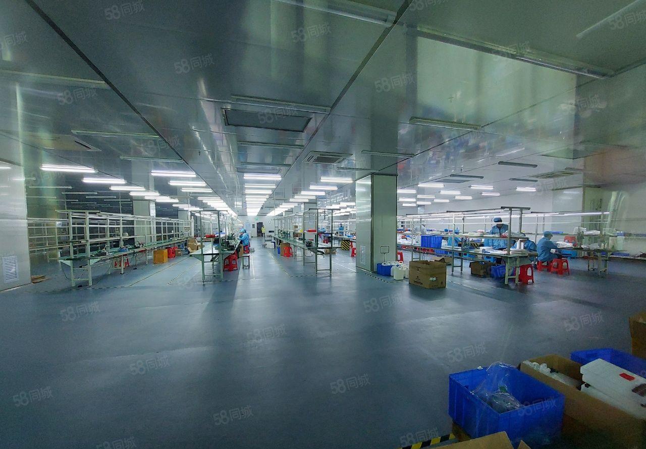 大岭山工业区无尘车间1500平方厂房出租，豪华装修，可分租
