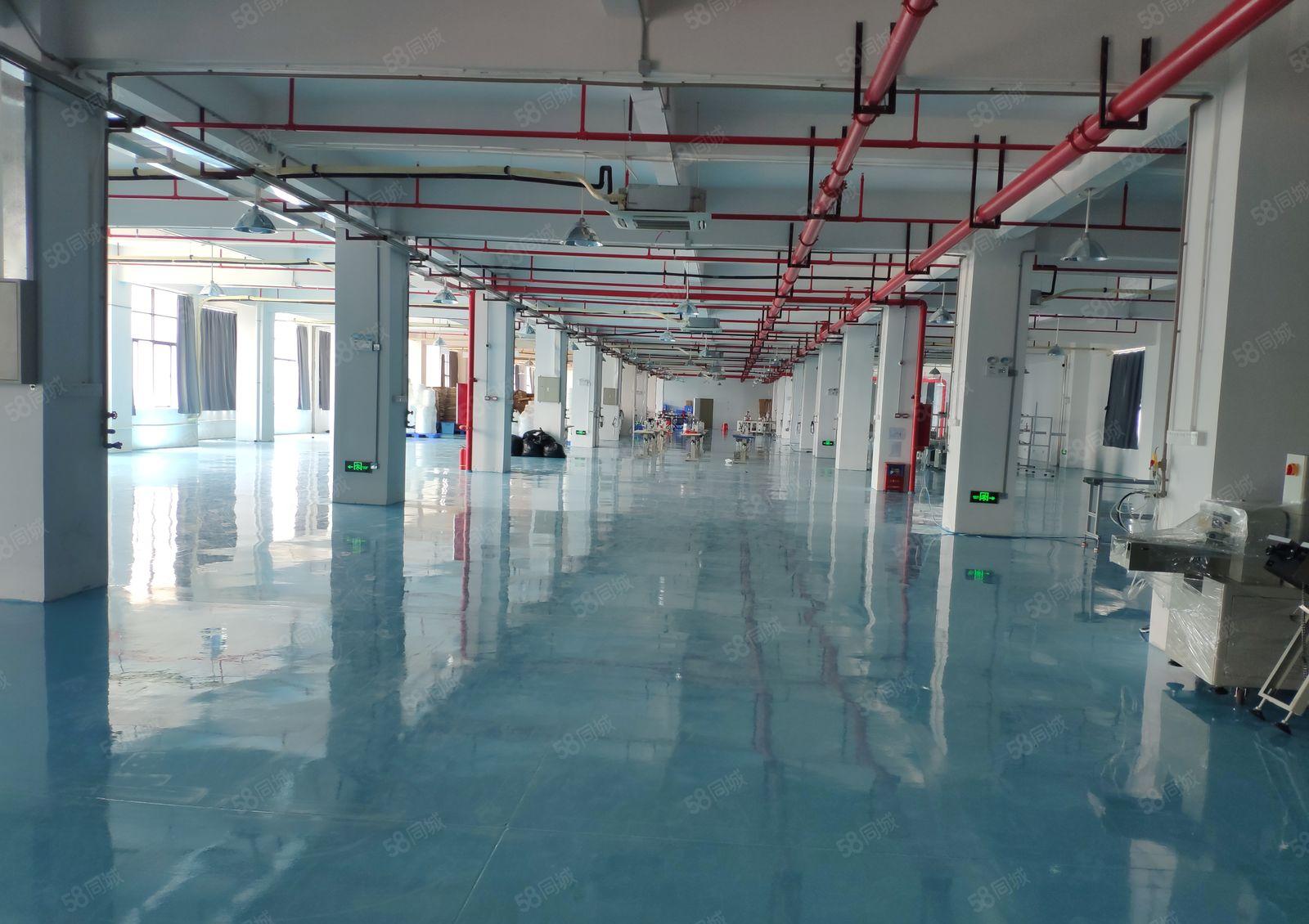 大岭山全新楼上2880平厂房出租仓库出租，水电办公室齐全