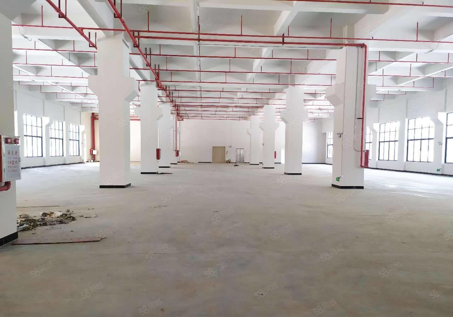 大岭山原房东全新工业园低价出租，证件齐全可办环评，大小分租