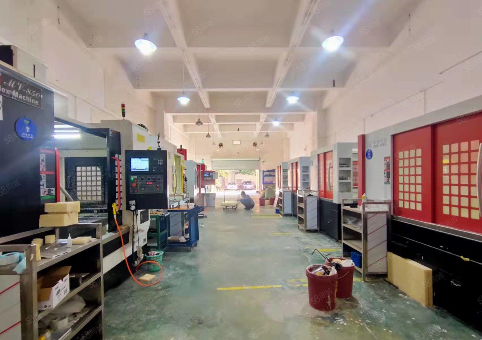 可办环评大岭山新出标准厂房一楼1000平精装修