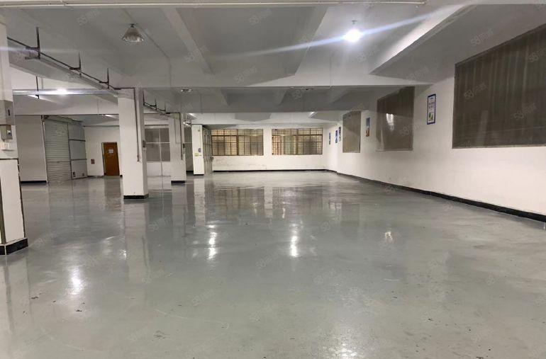 大岭山厂房一楼850平精装修水电齐全厂房出租仓库出租空地出租