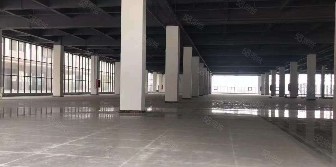 大岭山主干道边独门独院厂房出租