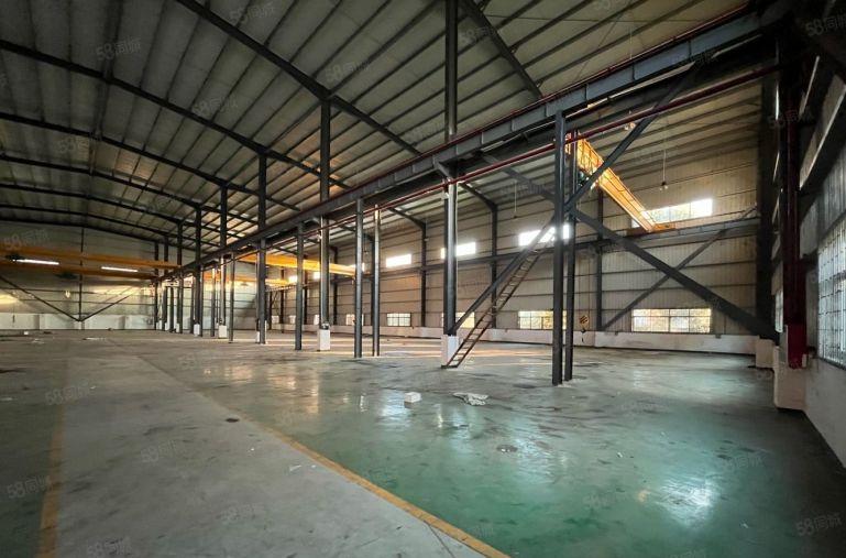 原房东厂房出租大岭山大塘村原房东12米高钢构厂房出租