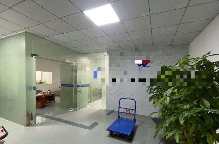 大岭山镇杨屋楼上700平无尘车间水电办公室装修拎包生产