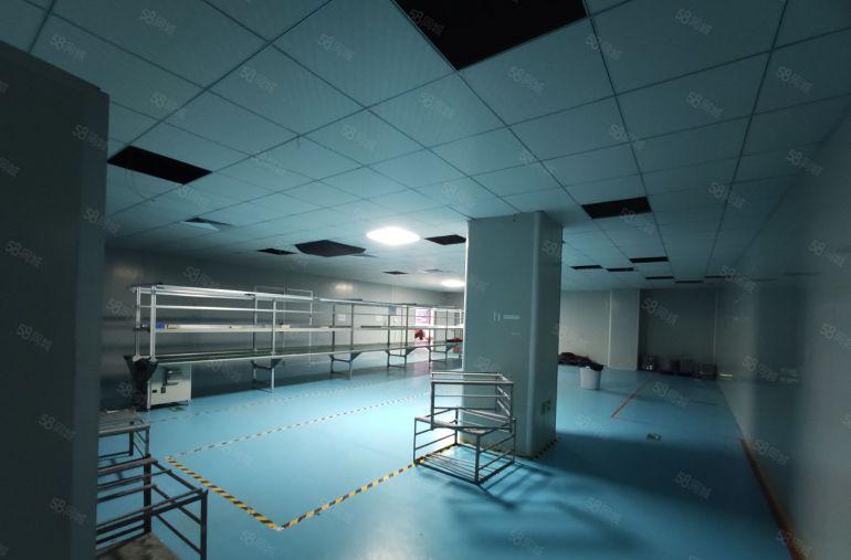 大岭山杨屋新空出三楼1800平洁净车间工业厂房出租