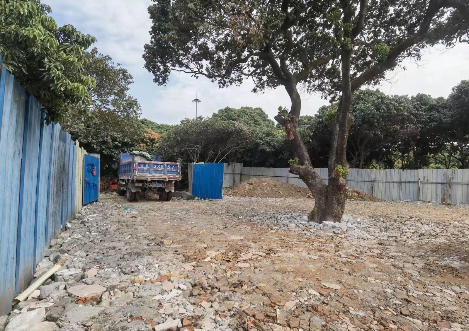 不怕脏及噪声 大岭山镇原房东出租独院铁皮300空地600平