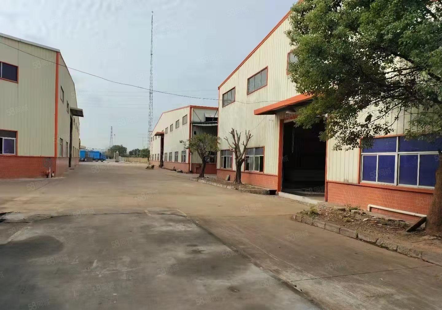 新出原房东30000平钢构可分租 滴水9米 可办环评