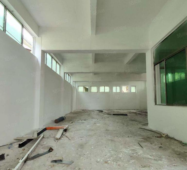 大岭山颜屋小面积单一层标准厂房出租 超低价 高6米 精装修