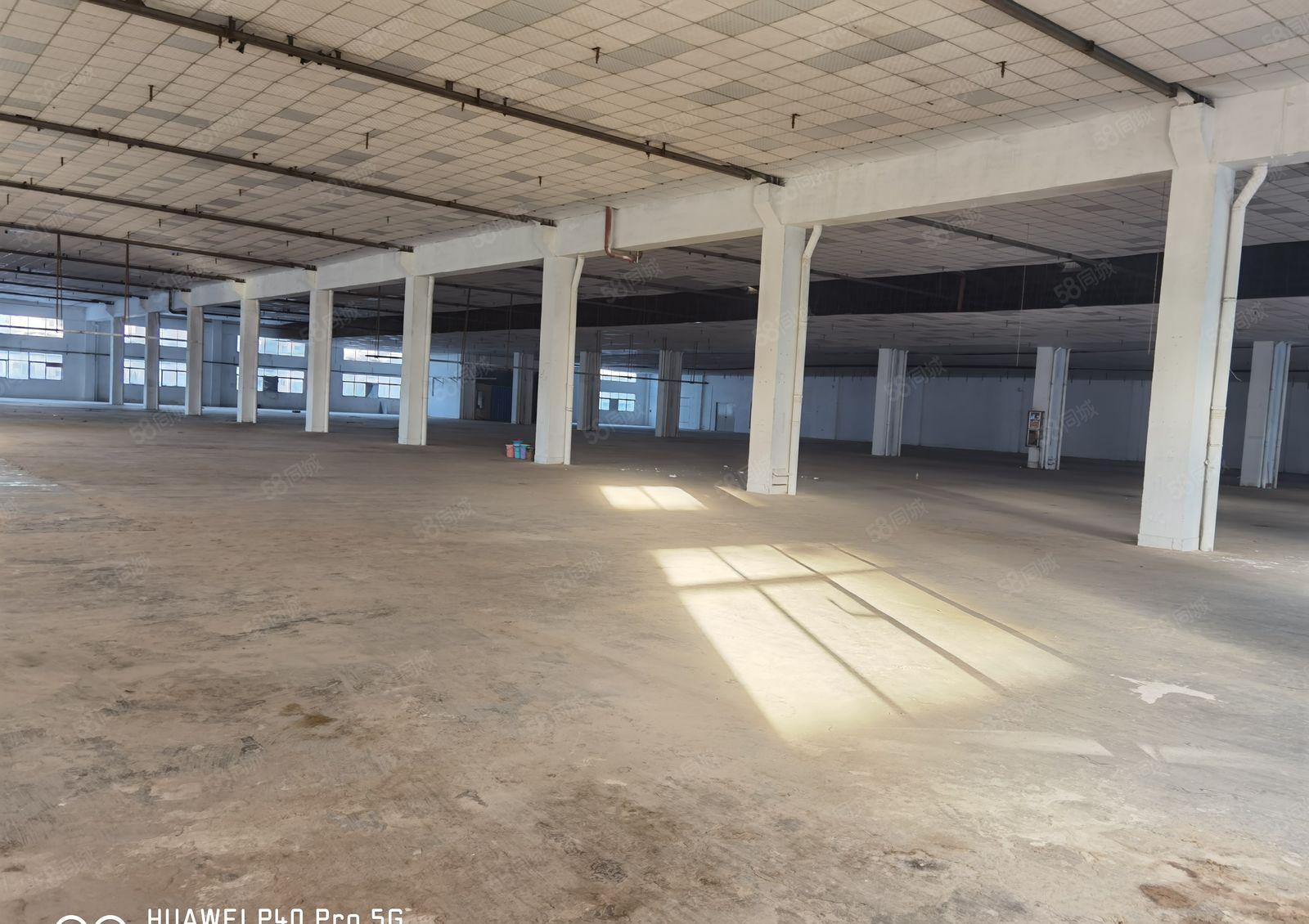 花园式厂房出租，空地大可分租，易招工，高速路口，交通便利