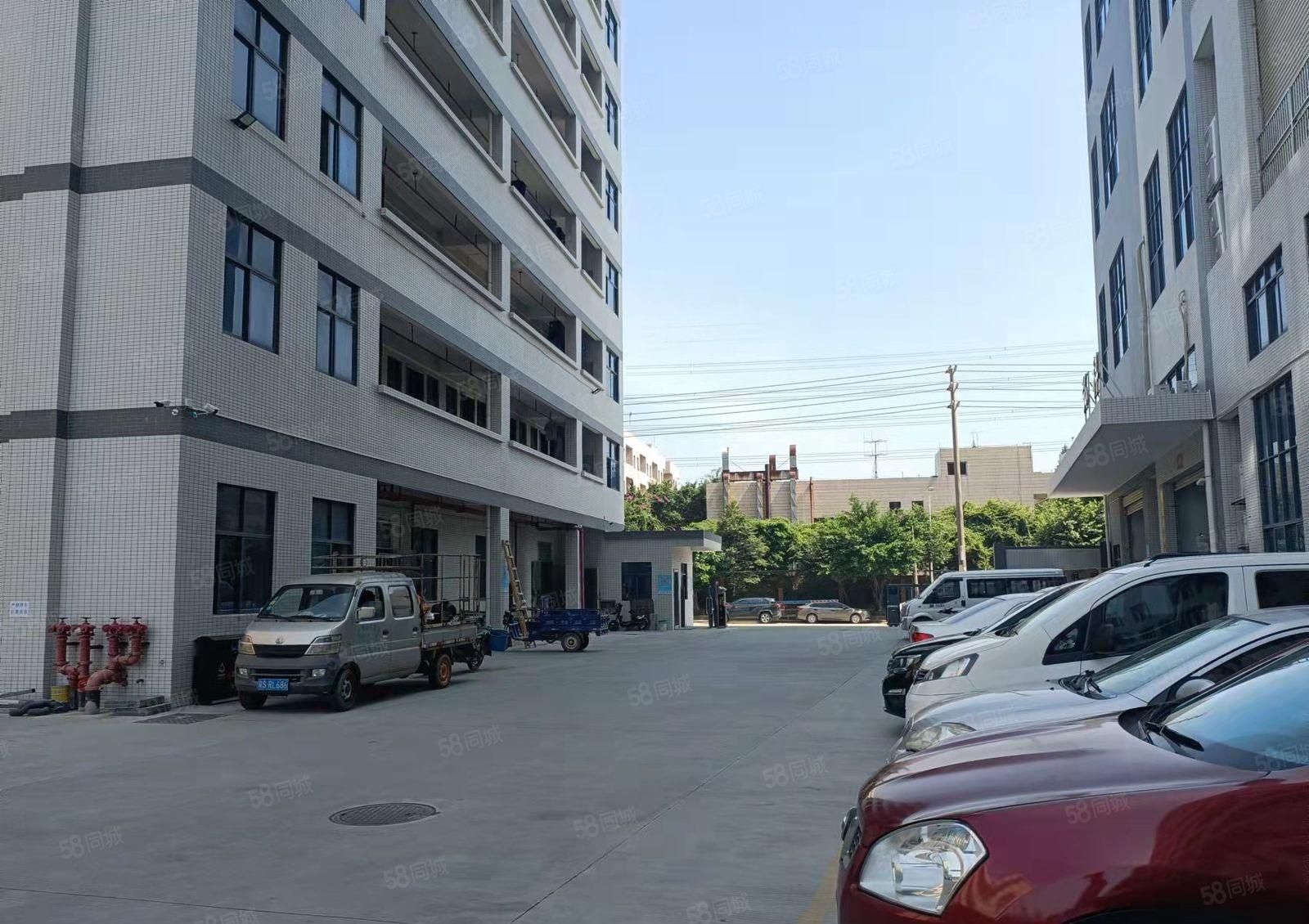 大岭山杨屋独院标准楼上2000平厂房出租 带全新装修交通好