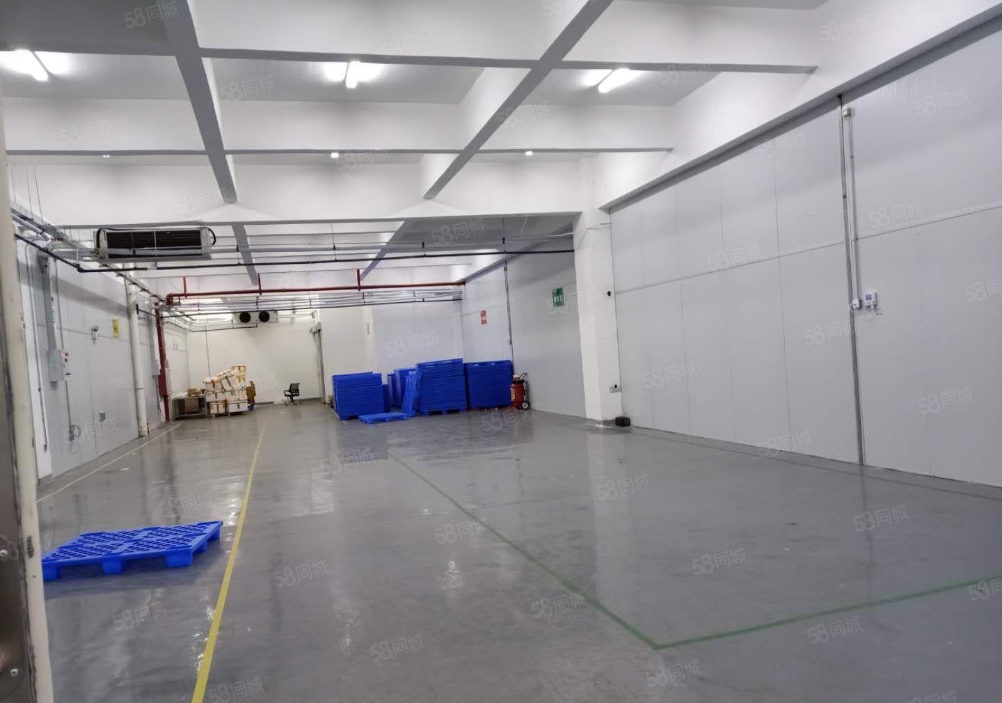 赠免租期！大岭山全新标准厂房出租，独门独院 证件齐全可办环评