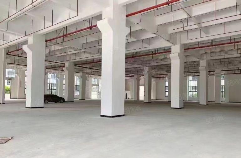 大岭山靠松山湖原房东独院厂房出租新出红本产业园一楼9.5米高