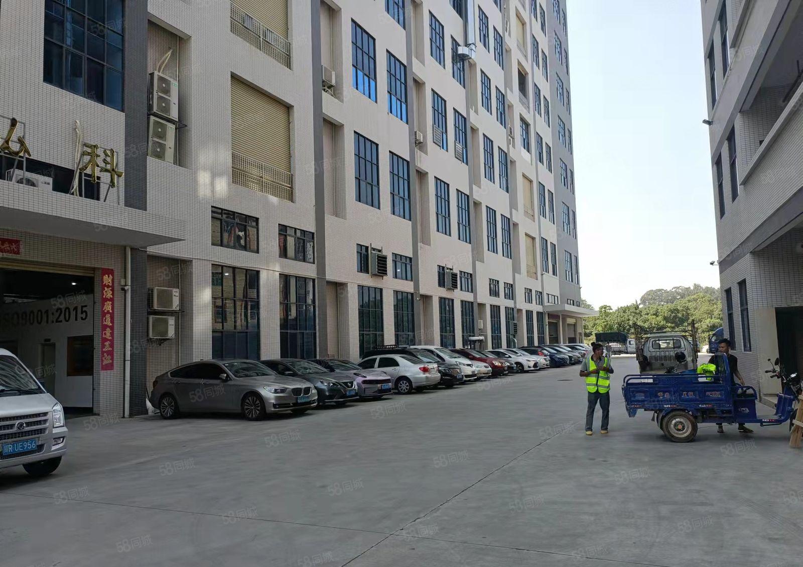 大岭山杨屋独院标准楼上2000平厂房出租 带全新装修交通好