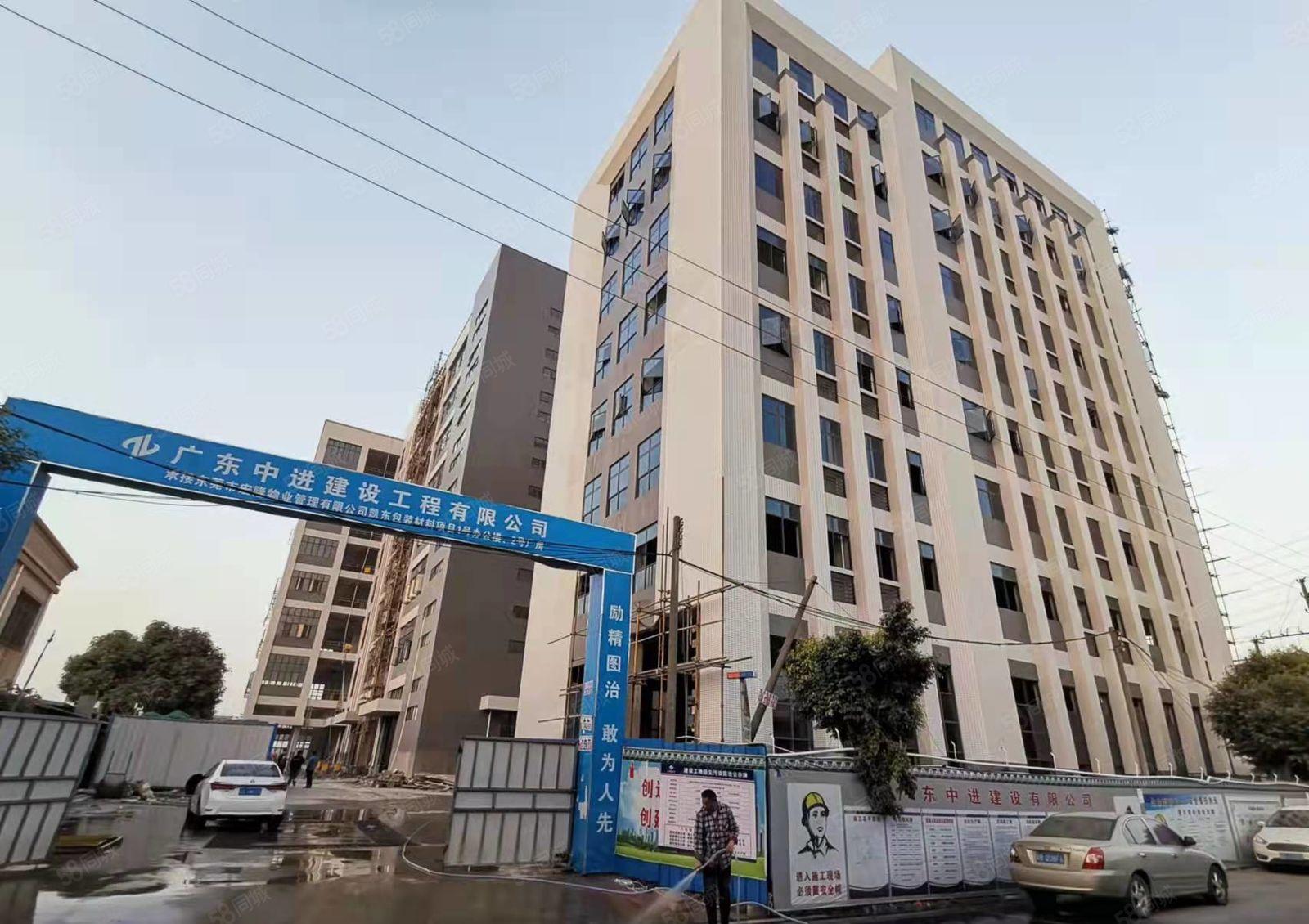 超长免租期 大岭山镇国有红本全新厂房出租500平起分租超低价