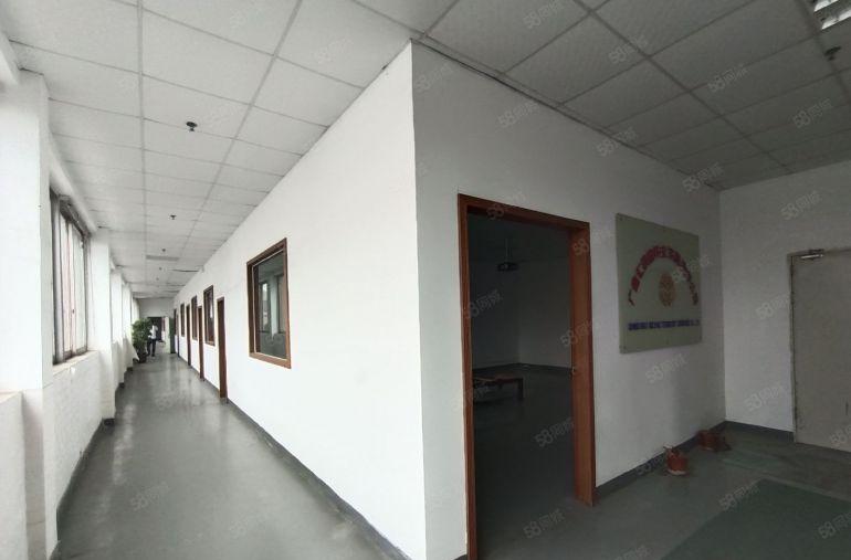 大岭山镇原房东直租独院形象好租金14可分租水电过户现成装修