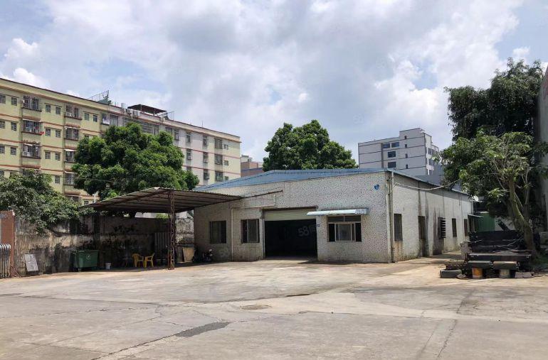 大岭山G107国道附近 单一层钢构厂房出租 现成装修 超低价