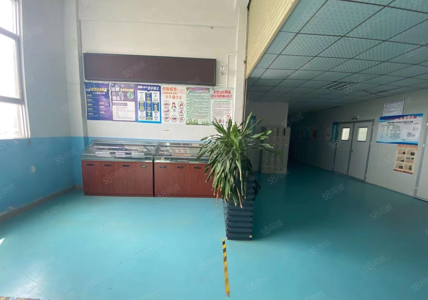 大岭山太公岭园区厂房出租，1000平，无尘车间，洁净车间