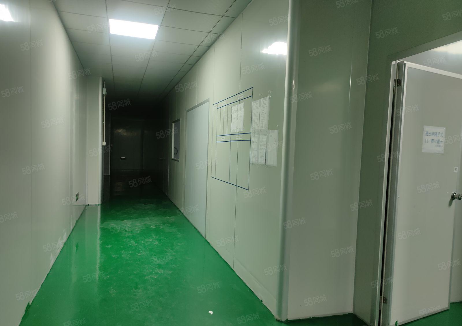 大岭山工业园20000平方精装修厂房出租500平方起分租。