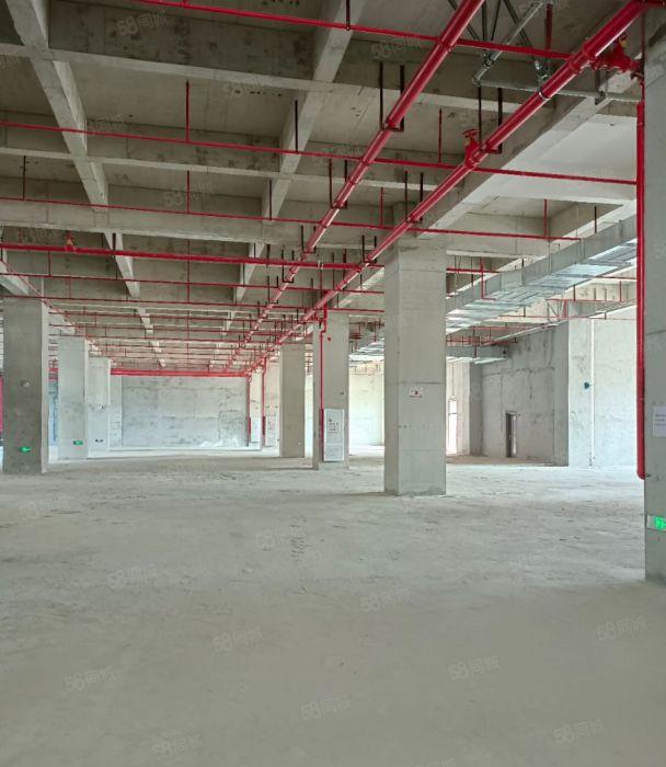 大岭山镇原房东标准新工业园4000方可分租