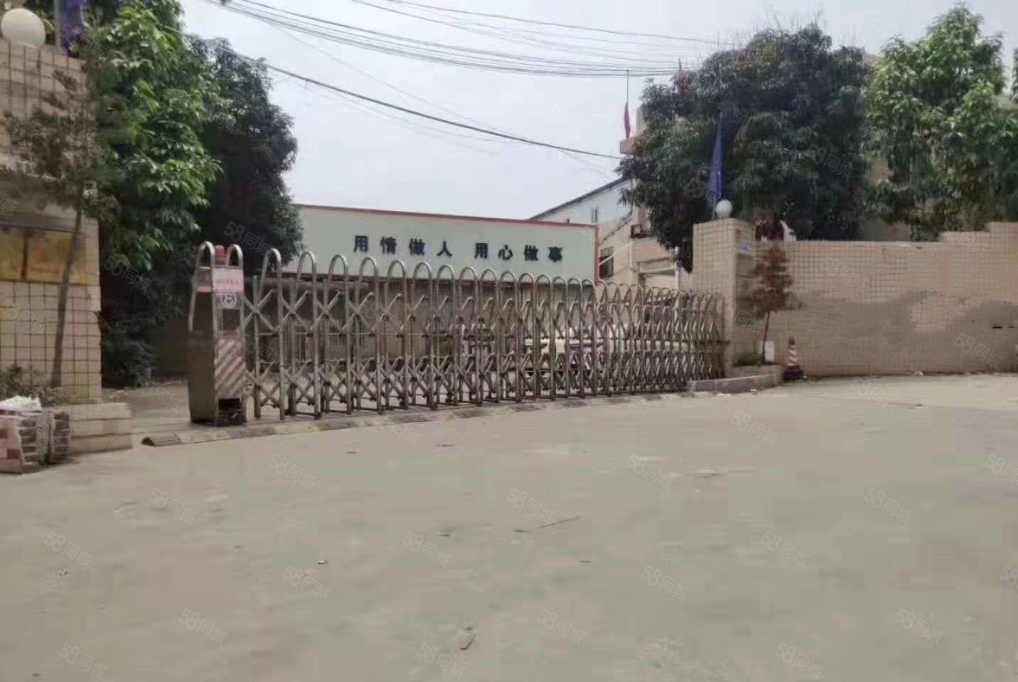 大岭山颜屋靠龙大高速口，独院厂房出租，480平一楼小面积厂房