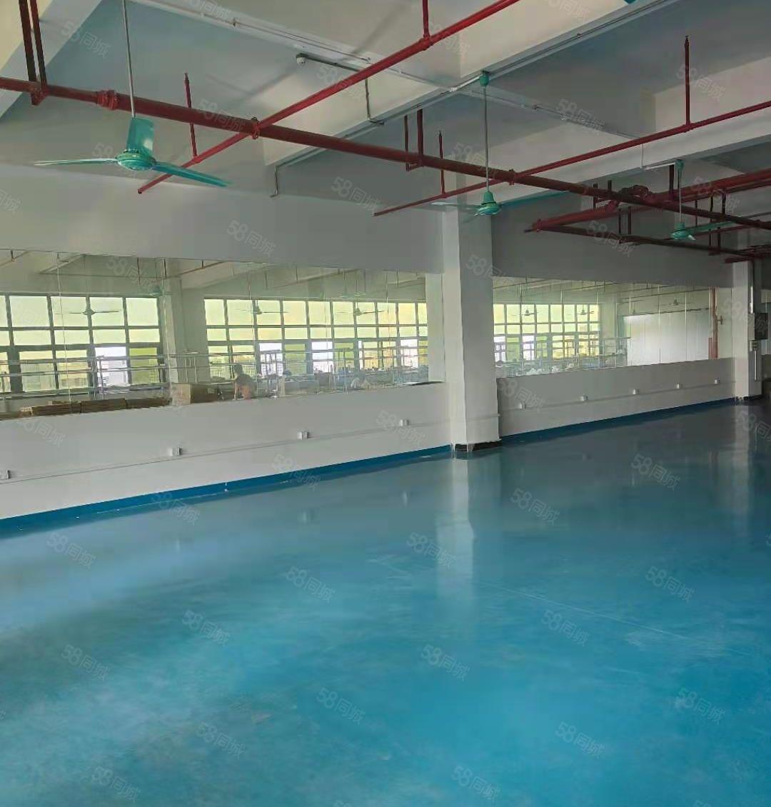 大岭山杨屋新出楼上3000平带精装修厂房，现低价出租，可分租