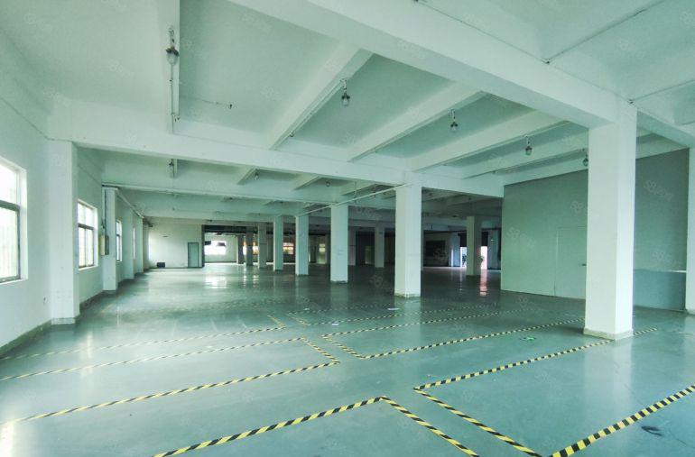 大岭山原房东新出精装修一楼标准厂房，带现成办公室，水电齐全