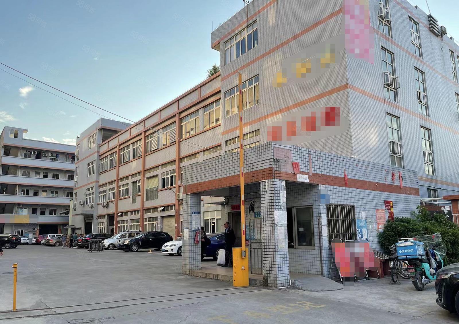 金桔村石大路边新出整层2400平厂房招租 现成豪华办公室装修