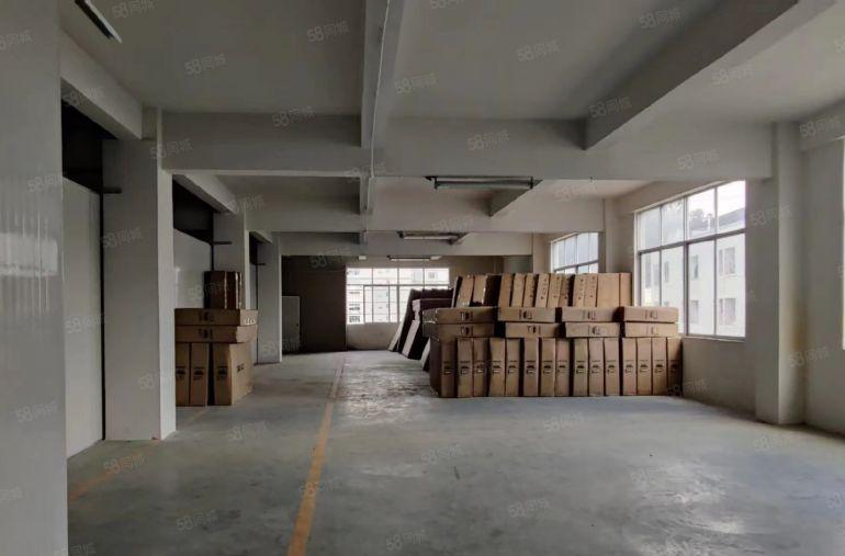 大岭山杨屋工业园区厂房出租 超低价 精装修 现成洁净车间