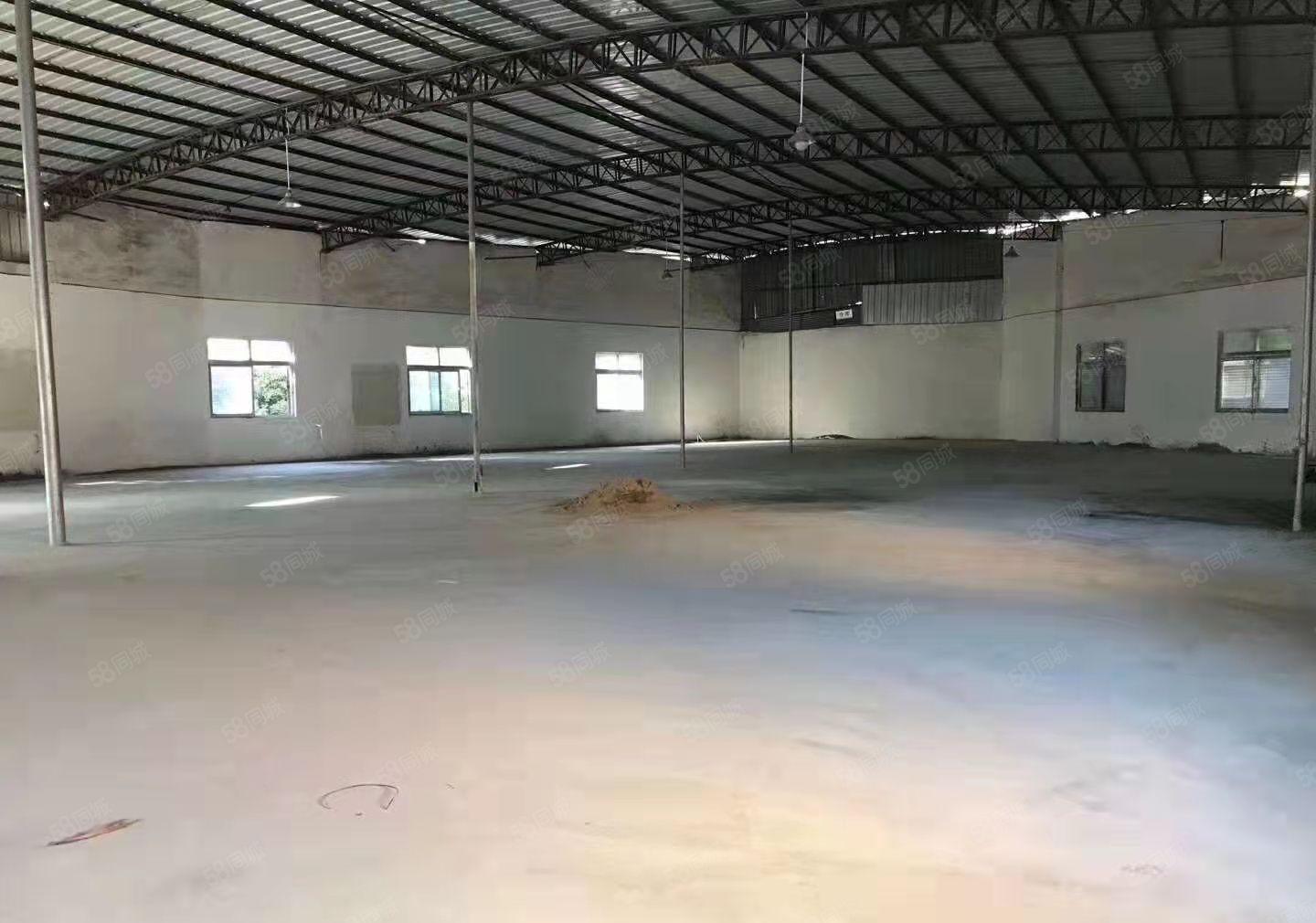 大岭山原房东自建单层小独院920平方出租，价格美丽