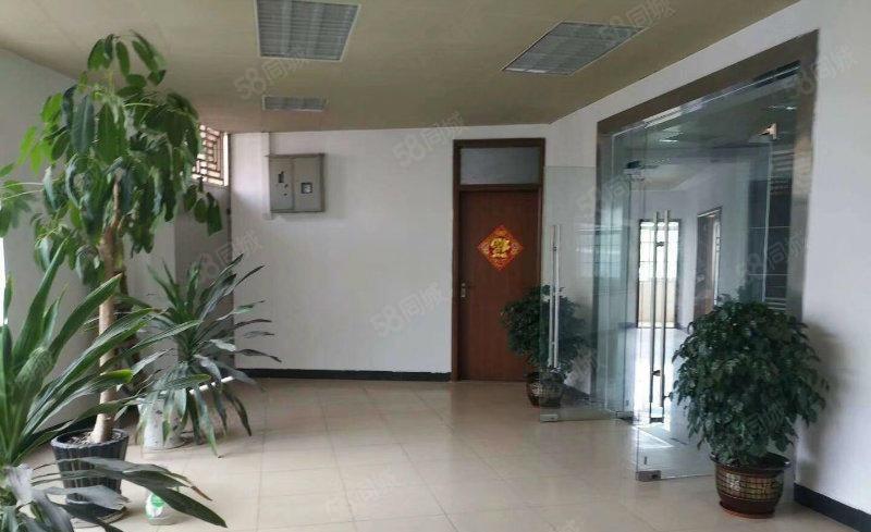 可办环坪 大沙村工业园区单一层3000平钢构厂房分租电量充足