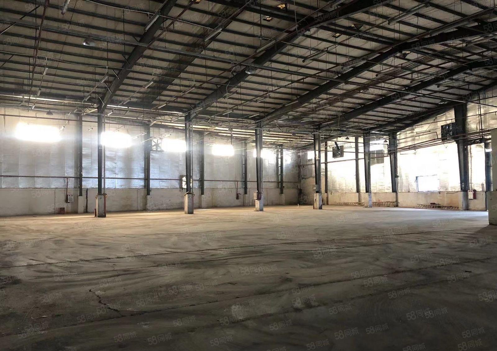 大岭山大塘2400平单一层钢构厂房出租，正规工业厂房出租