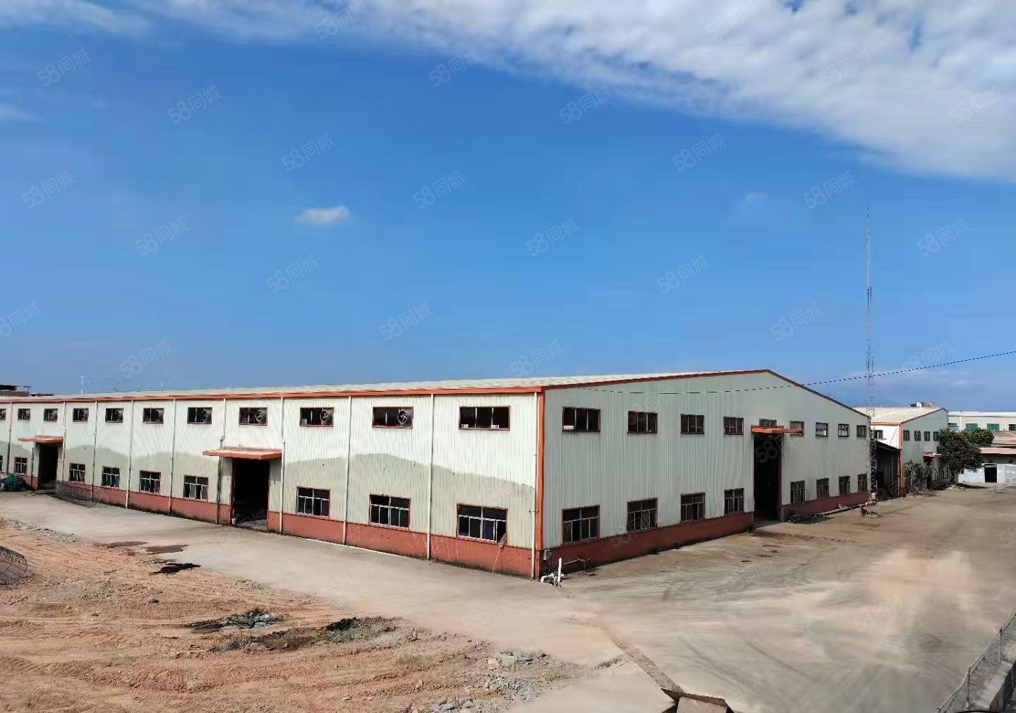 新出原房东30000平钢构可分租 滴水9米 可办环评