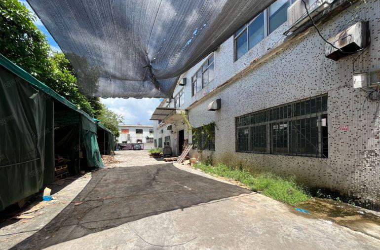 大岭山1500平小独院低价出租精装修空地大易招工