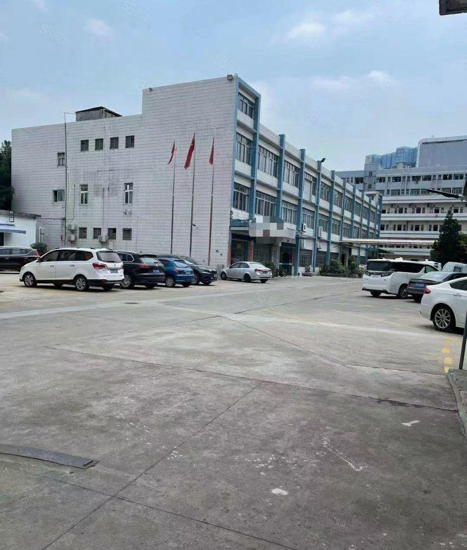 大岭山经典小独院总面积13580平方带装修的厂房出租