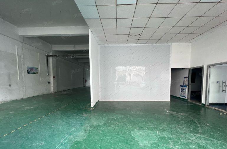 大岭山杨屋村标准一楼770平精装修办公室水电到车间龙大高速旁