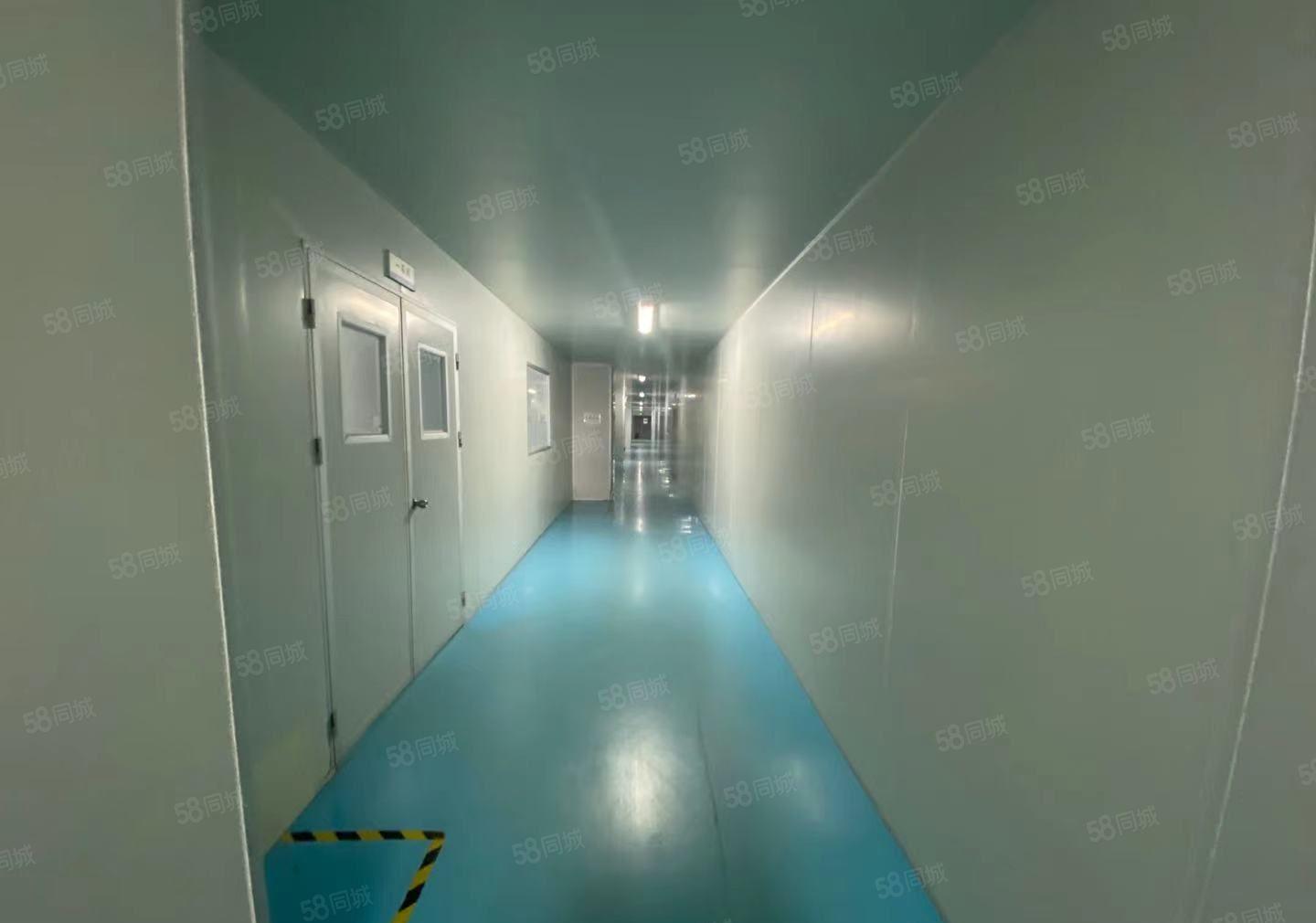 大岭山太公岭园区厂房出租，1000平，无尘车间，洁净车间