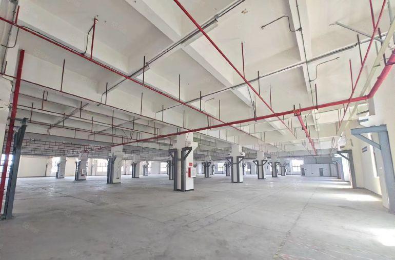 特价清盘面积大小可以分割1楼9.2米适合高薪注塑压铸模具电子