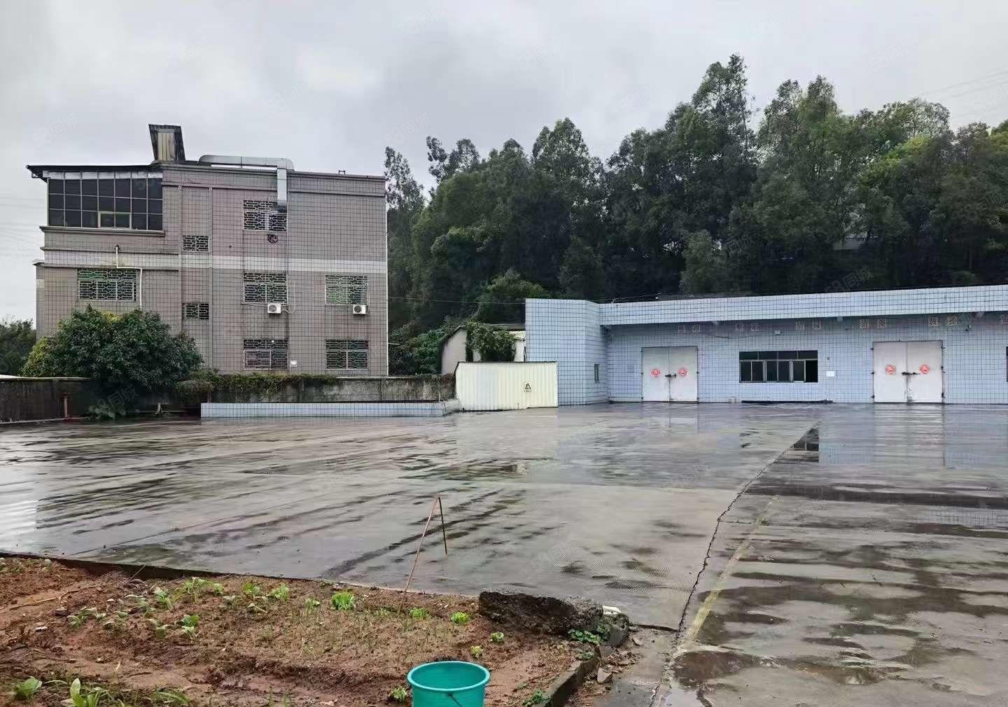 大岭山临深区域原房东独门独院，超大空地3000平