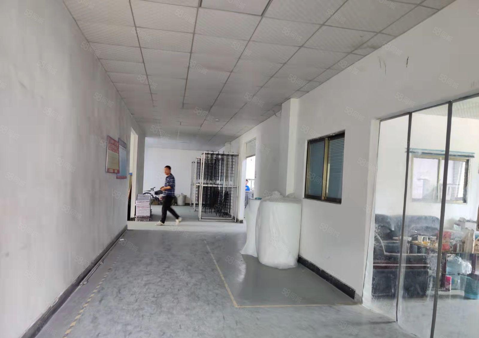 豪华装修水电齐全标准厂房二楼整层