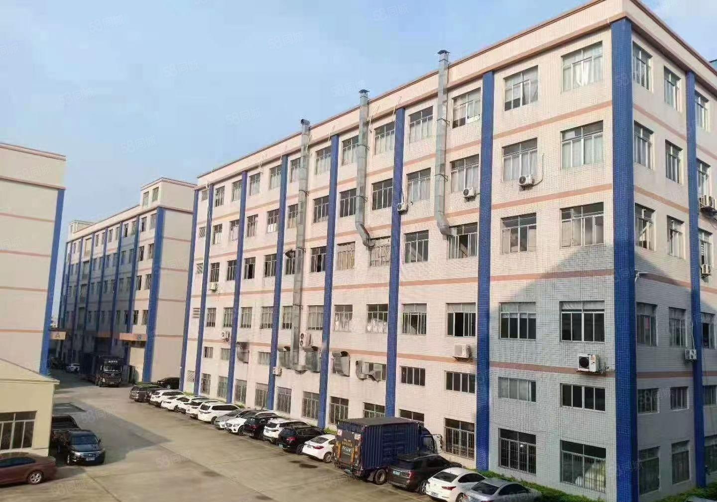 大岭山原房东厂房分租五楼1750平米，带精装修