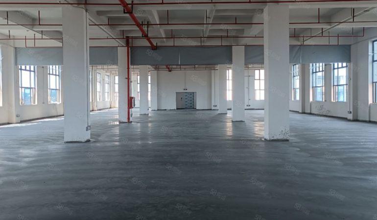 大岭山大塘路口全新厂房