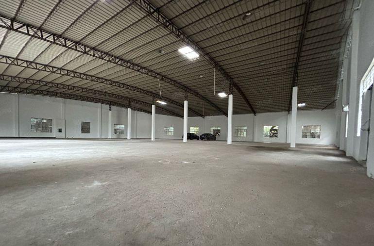 大岭山杨屋独门独院原房东单一层低价出租16元