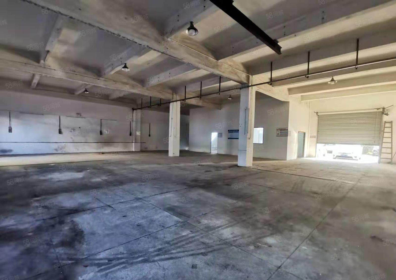 大岭山标准一楼600平方超大空地低价厂房出租价格实惠可办环评