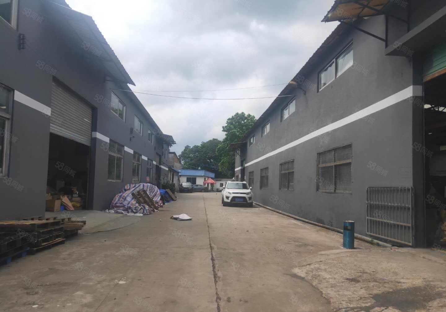 大岭山连马路新出重工业单一层3800平方厂房出租 带现成行车