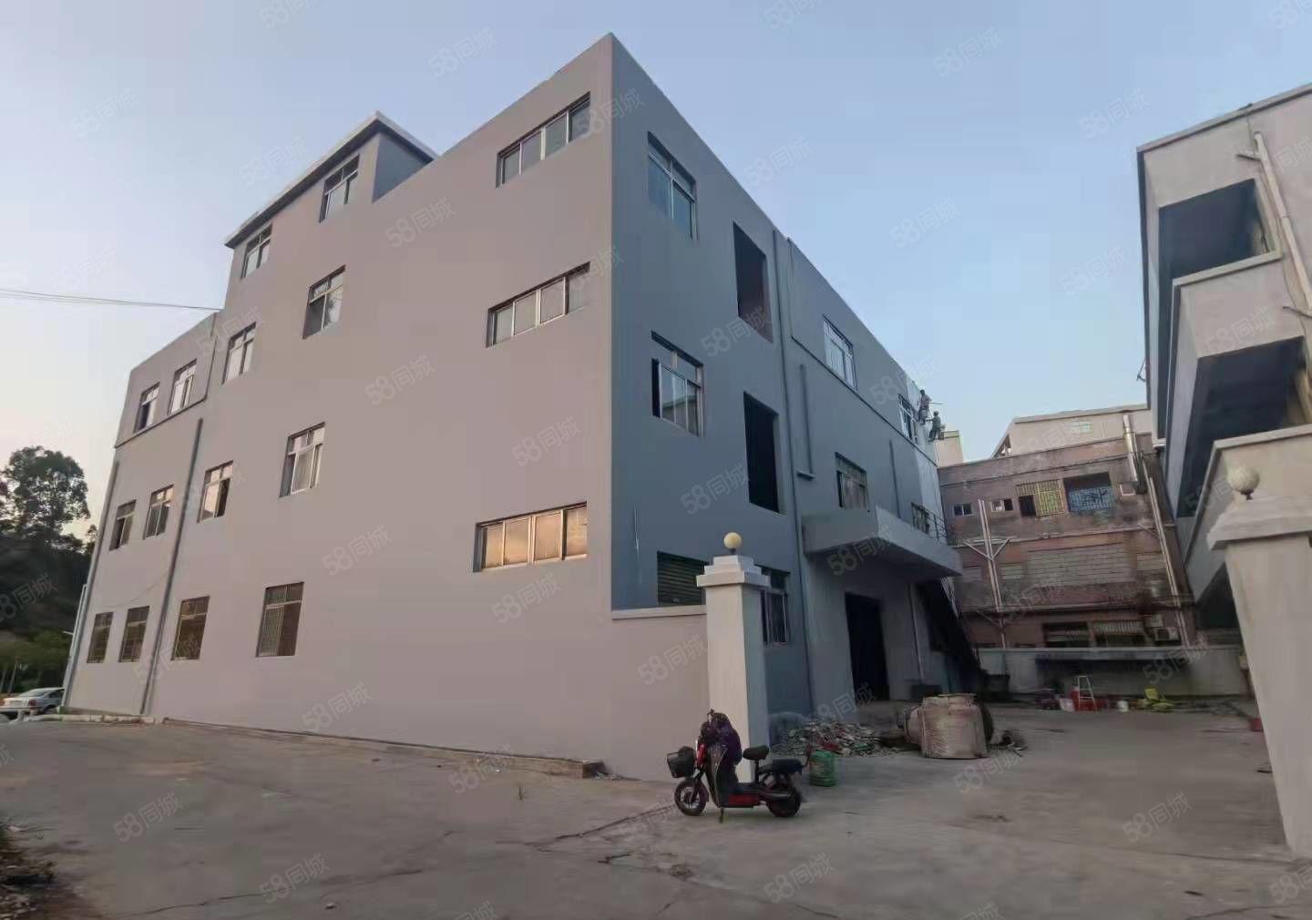 大岭山镇新出原房东独门独院标准4200平方厂房出租 可过环坪