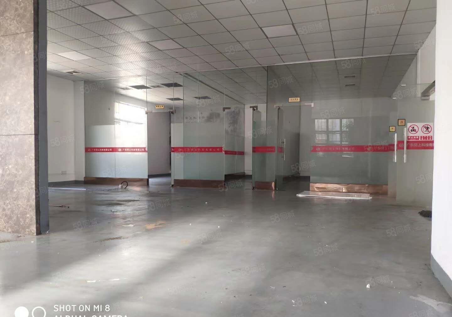 大岭山新出原房东800精装修水电齐全带办公室